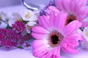 Palma Funeraria Tonos Rosas, Flores para Difunto, Flores para Sepelio, Centro Funerario, Enviar Flores al Tanatorio